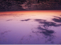 反転すると地球に見える！