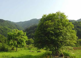 あーすせれぶれーしょんず