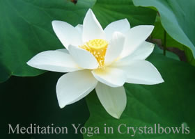 メディテーションヨガで倍音浴